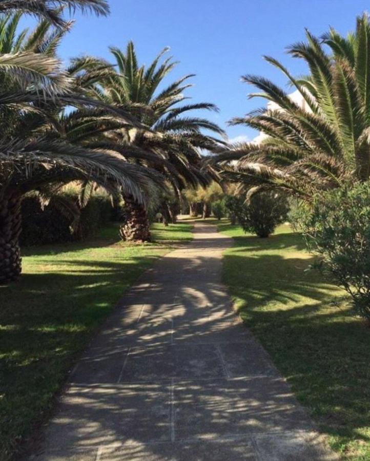 Rez De Jardin + Terrasse Piscine Et Acces Direct Plage Leilighet Saint-Cyprien  Eksteriør bilde