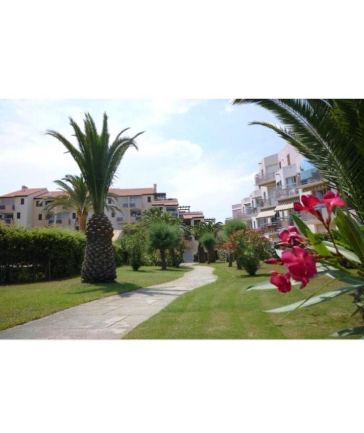 Rez De Jardin + Terrasse Piscine Et Acces Direct Plage Leilighet Saint-Cyprien  Eksteriør bilde